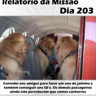 Relatório da Missão