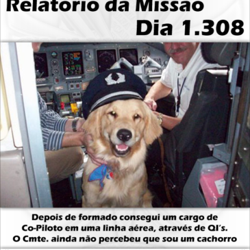 Relatório da Missão