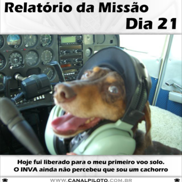 Relatório da Missão