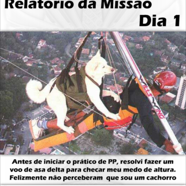 Relatório da Missão