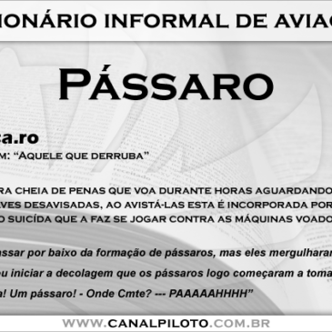 Dicionário Informal de Aviação: Pássaro