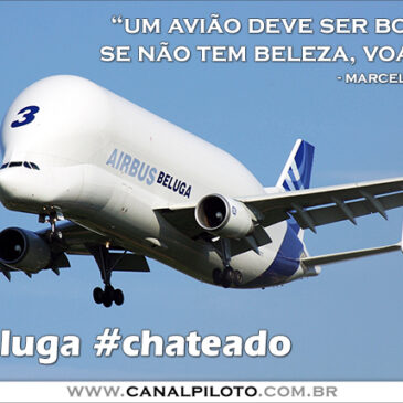 Aviação e beleza