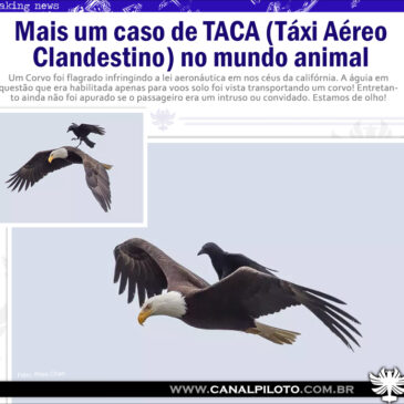 TACA 2