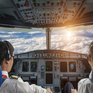 Profissão Piloto: Saber Voar é Saber Trabalhar?