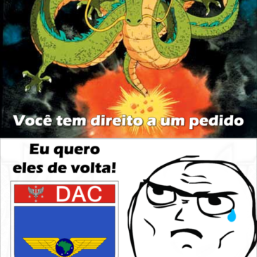 O pedido para Shen Long